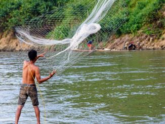 企業戶口的重要性與開立分析