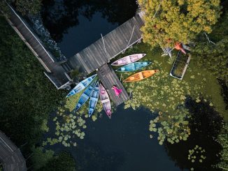 藍十字旅遊保險：守護每一段美好旅程的溫暖陪伴