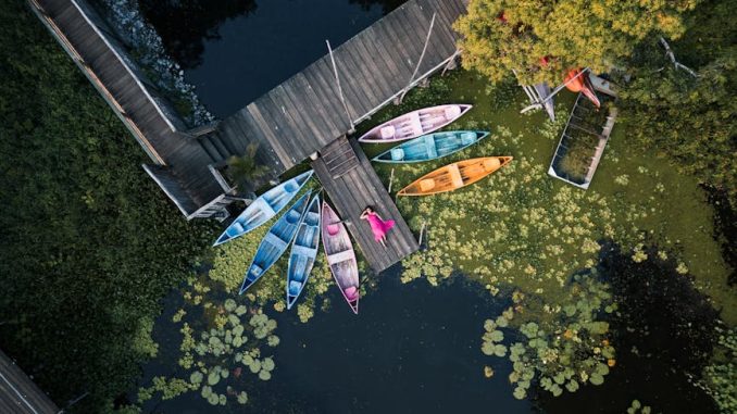 藍十字旅遊保險：守護每一段美好旅程的溫暖陪伴