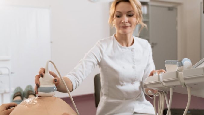 臍帶血庫價錢：為未來健康投資的理性選擇